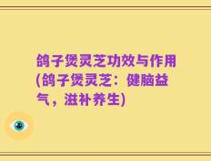 鸽子煲灵芝功效与作用(鸽子煲灵芝：健脑益气，滋补养生)