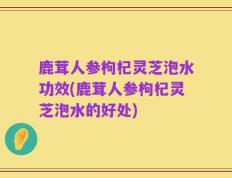鹿茸人参枸杞灵芝泡水功效(鹿茸人参枸杞灵芝泡水的好处)