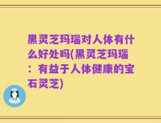 黑灵芝玛瑙对人体有什么好处吗(黑灵芝玛瑙：有益于人体健康的宝石灵芝)
