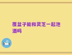 覆盆子能和灵芝一起泡酒吗