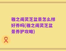 雅之阁灵芝盆景怎么样好养吗(雅之阁灵芝盆景养护攻略)