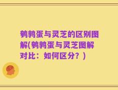 鹌鹑蛋与灵芝的区别图解(鹌鹑蛋与灵芝图解对比：如何区分？)
