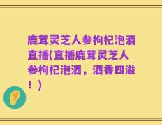 鹿茸灵芝人参枸杞泡酒直播(直播鹿茸灵芝人参枸杞泡酒，酒香四溢！)