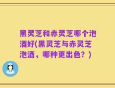 黑灵芝和赤灵芝哪个泡酒好(黑灵芝与赤灵芝泡酒，哪种更出色？)