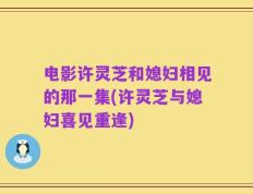 电影许灵芝和媳妇相见的那一集(许灵芝与媳妇喜见重逢)
