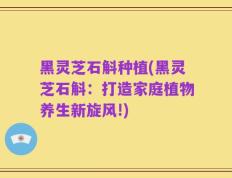 黑灵芝石斛种植(黑灵芝石斛：打造家庭植物养生新旋风!)