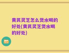 黄芪灵芝怎么煲水喝的好处(黄芪灵芝煲水喝的好处)