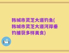 韩城市灵芝大道钓鱼(韩城市灵芝大道河岸垂钓捕获多样美食)