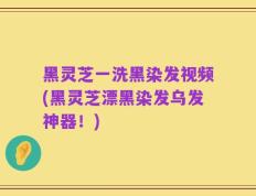 黑灵芝一洗黑染发视频(黑灵芝漂黑染发乌发神器！)