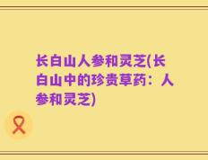 长白山人参和灵芝(长白山中的珍贵草药：人参和灵芝)