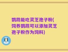 鹦鹉能吃灵芝孢子粉(饲养鹦鹉可以添加灵芝孢子粉作为饲料)