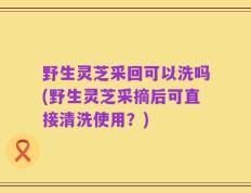 野生灵芝采回可以洗吗(野生灵芝采摘后可直接清洗使用？)
