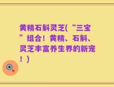 黄精石斛灵芝(“三宝”组合！黄精、石斛、灵芝丰富养生界的新宠！)