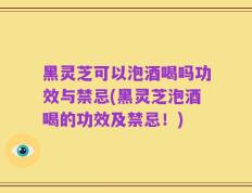 黑灵芝可以泡酒喝吗功效与禁忌(黑灵芝泡酒喝的功效及禁忌！)