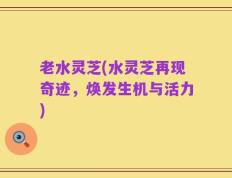 老水灵芝(水灵芝再现奇迹，焕发生机与活力)