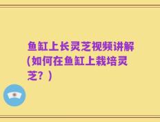 鱼缸上长灵芝视频讲解(如何在鱼缸上栽培灵芝？)