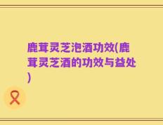 鹿茸灵芝泡酒功效(鹿茸灵芝酒的功效与益处)