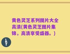黄色灵芝系列图片大全高清(黄色灵芝图片集锦，高清享受盛器。)