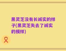 黑灵芝没有长诚实的样子(黑灵芝失去了诚实的模样)