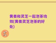 黄姜和灵芝一起泡茶功效(黄姜灵芝泡茶的好处)