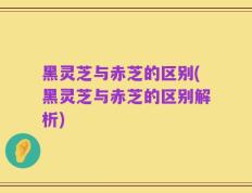 黑灵芝与赤芝的区别(黑灵芝与赤芝的区别解析)