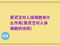 黑灵芝对人体细胞有什么作用(黑灵芝对人体细胞的功效)