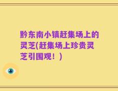 黔东南小镇赶集场上的灵芝(赶集场上珍贵灵芝引围观！)
