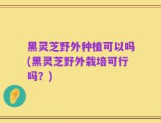 黑灵芝野外种植可以吗(黑灵芝野外栽培可行吗？)