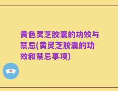 黄色灵芝胶囊的功效与禁忌(黄灵芝胶囊的功效和禁忌事项)