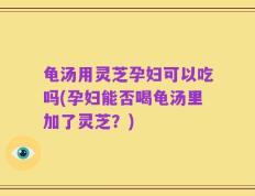 龟汤用灵芝孕妇可以吃吗(孕妇能否喝龟汤里加了灵芝？)