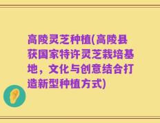 高陵灵芝种植(高陵县获国家特许灵芝栽培基地，文化与创意结合打造新型种植方式)