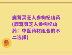 鹿茸灵芝人参枸杞山药(鹿茸灵芝人参枸杞山药：中医药材组合的不二选择)