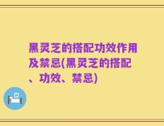 黑灵芝的搭配功效作用及禁忌(黑灵芝的搭配、功效、禁忌)