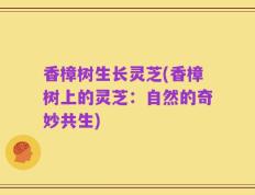 香樟树生长灵芝(香樟树上的灵芝：自然的奇妙共生)