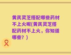 黄芪灵芝搭配哪些药材不上火呢(黄芪灵芝搭配药材不上火，你知道哪些？)