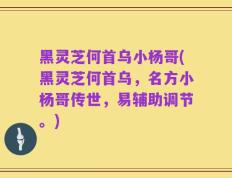 黑灵芝何首乌小杨哥(黑灵芝何首乌，名方小杨哥传世，易辅助调节。)
