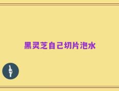 黑灵芝自己切片泡水