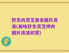 野生肉灵芝美食图片高清(美味野生灵芝烤肉图片高清欣赏)