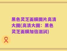 黑色灵芝面膜图片高清大图(高清大图：黑色灵芝面膜加倍滋润)