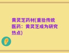 黄灵芝药材(重拾传统医药：黄灵芝成为研究热点)