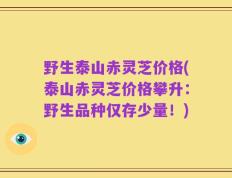 野生泰山赤灵芝价格(泰山赤灵芝价格攀升：野生品种仅存少量！)