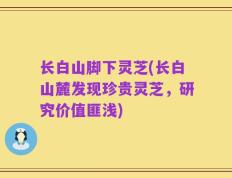 长白山脚下灵芝(长白山麓发现珍贵灵芝，研究价值匪浅)
