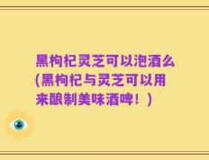 黑枸杞灵芝可以泡酒么(黑枸杞与灵芝可以用来酿制美味酒啤！)