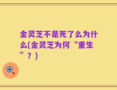 金灵芝不是死了么为什么(金灵芝为何“重生”？)