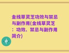 金线草灵芝功效与禁忌与副作用(金线草灵芝：功效、禁忌与副作用简介)