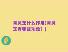 青灵芝什么作用(青灵芝有哪些功效？)