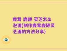 鹿茸 鹿鞭 灵芝怎么泡酒(制作鹿茸鹿鞭灵芝酒的方法分享)