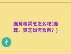 鹿茸和灵芝怎么吃(鹿茸、灵芝如何食用？)