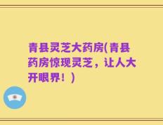 青县灵芝大药房(青县药房惊现灵芝，让人大开眼界！)