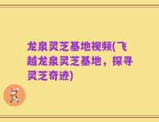 龙泉灵芝基地视频(飞越龙泉灵芝基地，探寻灵芝奇迹)